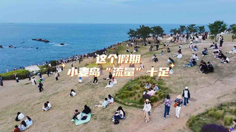 荷风送香天鹅舞