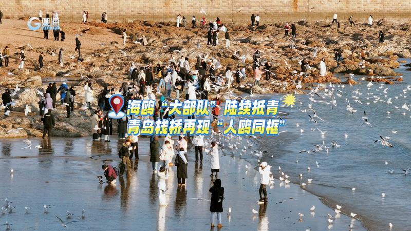 超200万人选择从海上读懂贝博bal