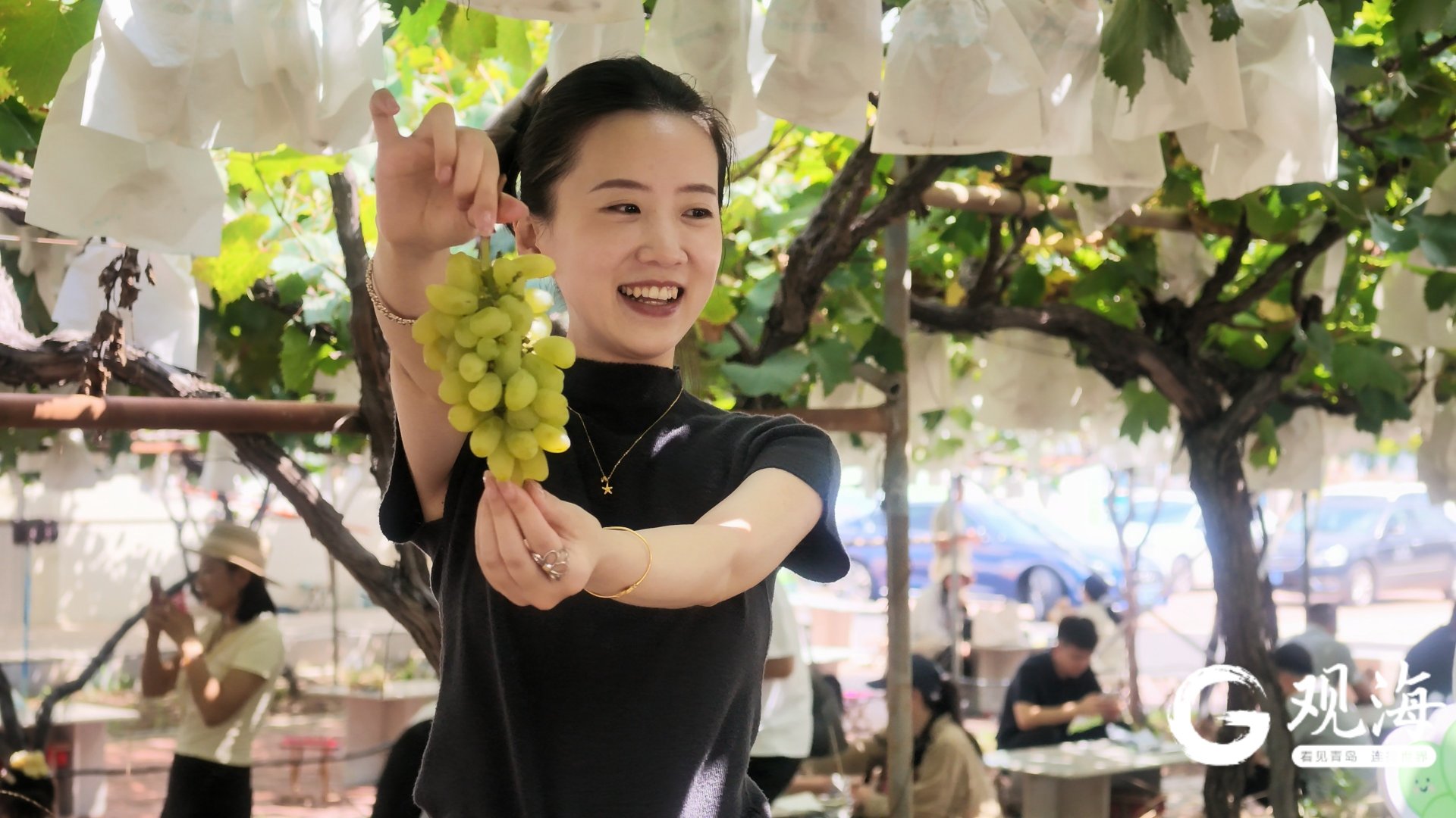 葡萄树下话振兴