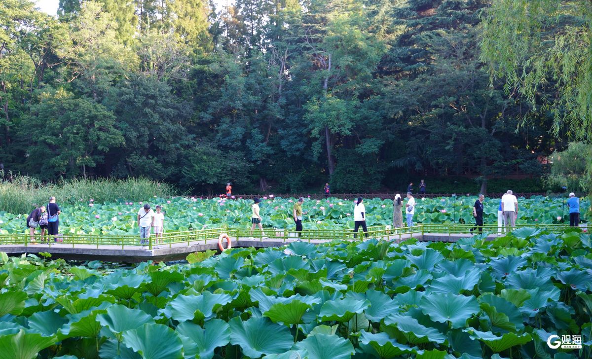 同题参见小西湖上