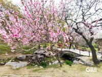 超200万人选择从海上读懂贝博bal