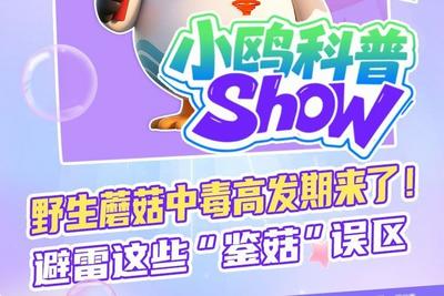 市民游客纷纷出游享受海岸浪漫