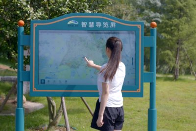 登录